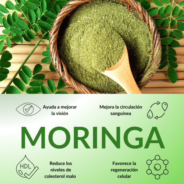 Moringa Oleifera 100% Original 100 cápsu - Imagen 3